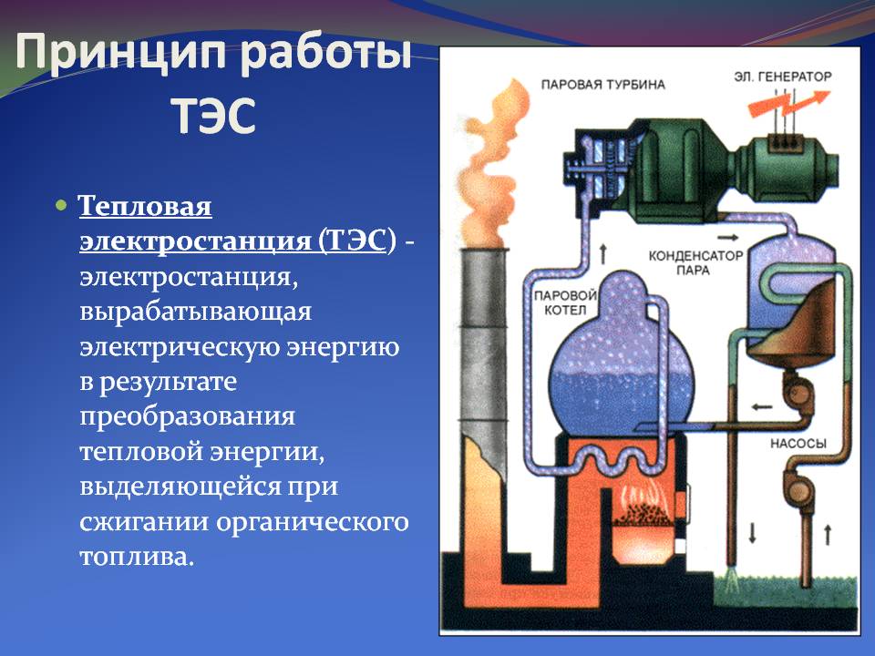 tec