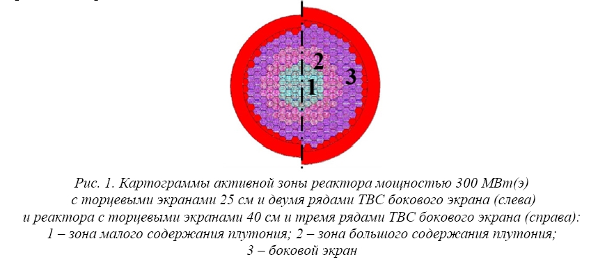 Разработка ключевых технологических решений  в концепции быстрого реактора  для эффективного расширения ресурсной базы  в системе развивающейся ядерной энергетики