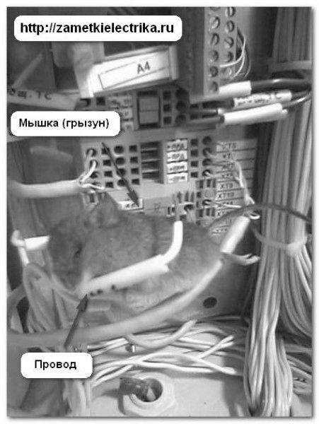 скрытая_электропроводка_в_деревянном_квартирном_крытом_электропроводка_в_дичном_доме